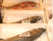 重さで値段が変わる魚の陳列写真