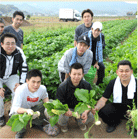 地産地消にこだわるはつしろの野菜