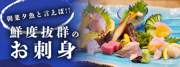 一番人気朝菜夕魚名物刺盛