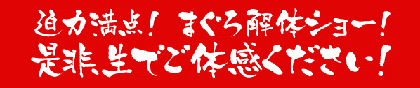 迫力のショーを楽しもう!マグロ解体ショー
