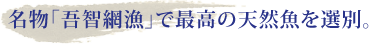 名物「吾智網漁」で最高の天然魚を選別。