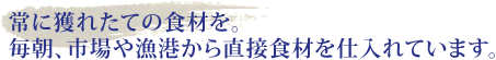 常に獲れたての食材を。毎朝、市場や漁港から直接食材を仕入れています。