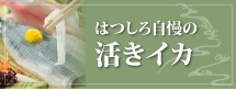 はつしろ自慢の活きイカ